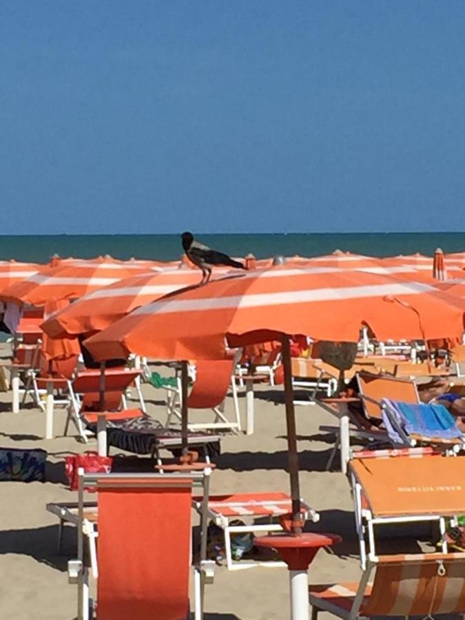 Verde Mare "Appartamenti Per Vacanze" Tortoreto Exterior foto